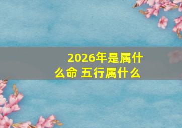 2026年是属什么命 五行属什么